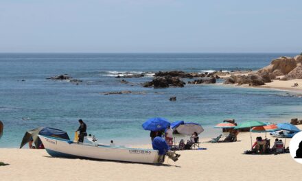 Playa Palmilla, Los Cabos. Ven y disfruta de nuestras playas siguiendo las indicaciones de sanidad.