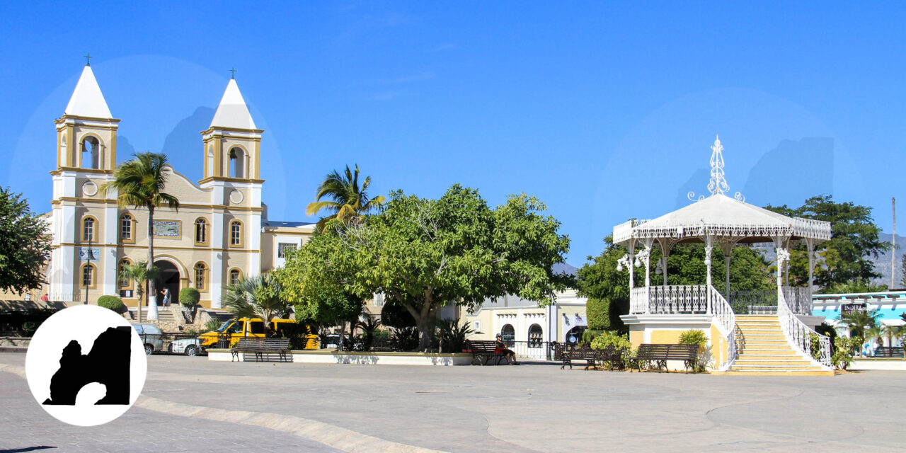 Los CINCO imperdibles de San José del Cabo