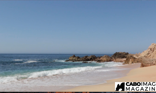 Playa Las Viudas, Los Cabos, B.C.S.