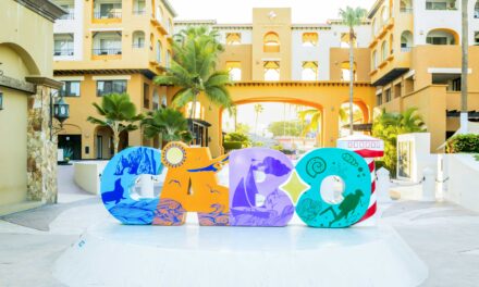 Los Cinco Imperdibles de Cabo San Lucas