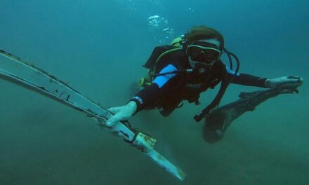 Limpieza del fondo marino de la Bahía de Cabo San Lucas