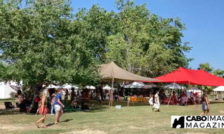 Mercado Orgánico San José del Cabo, tienes que visitarlo