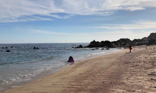 Vamos a la playa: Las Viudas, Los Cabos, B.C.S.