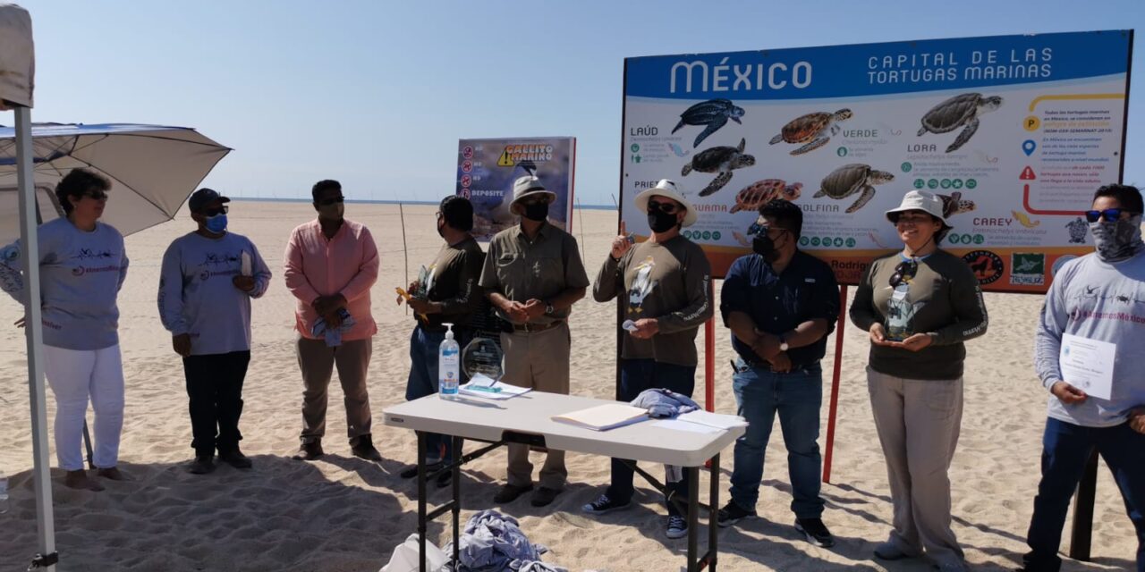 Conmemoración del Día del Gallito Marino en San José del Cabo.