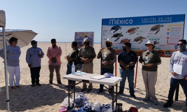 Conmemoración del Día del Gallito Marino en San José del Cabo.