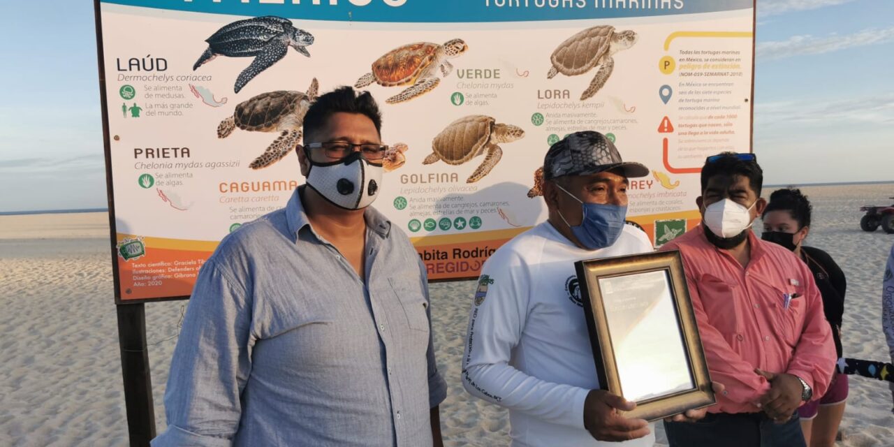 El H. XIII Ayuntamiento de Los Cabos a través de la Dirección General de Ecológica y Medio Ambiente otorgó reconocimiento a Carlos Villalobos Martínez de la Red para protección de la Tortuga Marina.