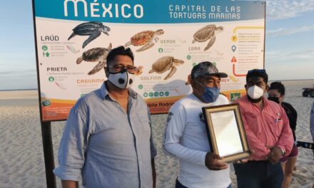 El H. XIII Ayuntamiento de Los Cabos a través de la Dirección General de Ecológica y Medio Ambiente otorgó reconocimiento a Carlos Villalobos Martínez de la Red para protección de la Tortuga Marina.