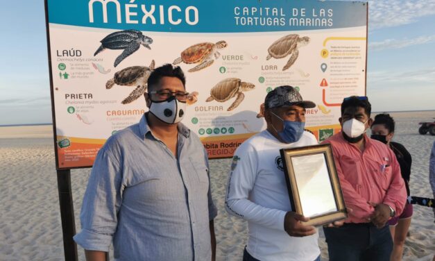 El H. XIII Ayuntamiento de Los Cabos a través de la Dirección General de Ecológica y Medio Ambiente otorgó reconocimiento a Carlos Villalobos Martínez de la Red para protección de la Tortuga Marina.