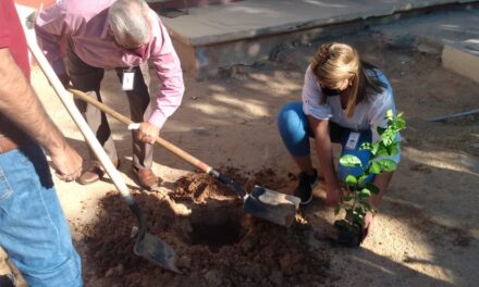 La educación Ambiental es prioridad; Gobierno de Los Cabos reforesta áreas escolares￼