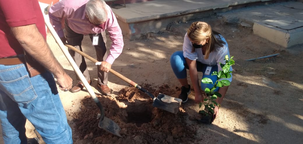 La educación Ambiental es prioridad; Gobierno de Los Cabos reforesta áreas escolares