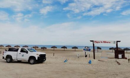 Mantiene Zofemat Los Cabos en óptimas condiciones las playas de la zona norte del municipio