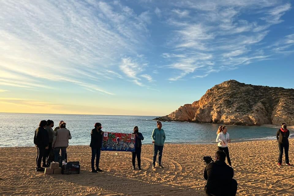 ¡La salud y seguridad son primero! Zofemat Los Cabos mantiene jornadas para el retiro de microresiduos en playas