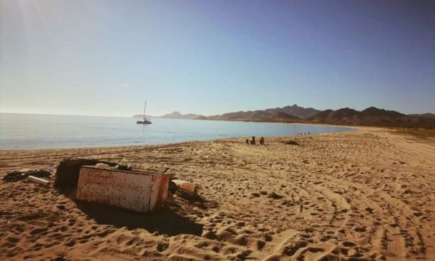 La limpieza es clave para la salud; que las playas no se queden con tu basura