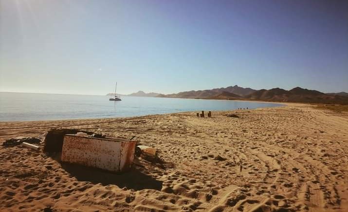 La limpieza es clave para la salud; que las playas no se queden con tu basura