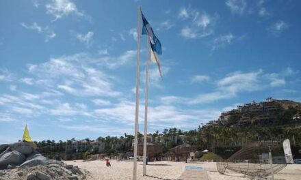 ¿Sabía que en las playas con distintivo Blue Flag está prohibido encender fogatas? ¡Evítalas!