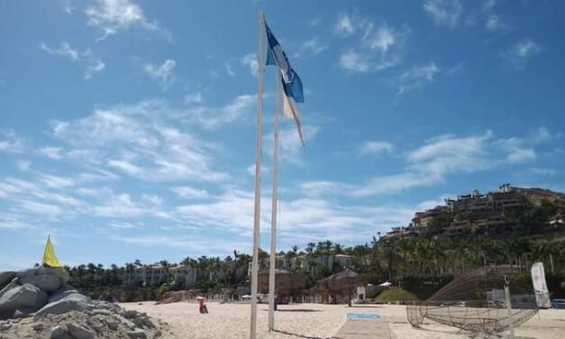 ¿Sabía que en las playas con distintivo Blue Flag está prohibido encender fogatas? ¡Evítalas!