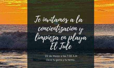 Invita Zofemat Los Cabos a la jornada de concientización y limpieza en la playa El Tule