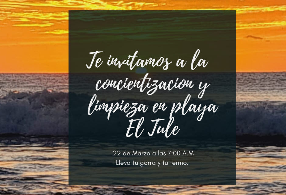 Invita Zofemat Los Cabos a la jornada de concientización y limpieza en la playa El Tule