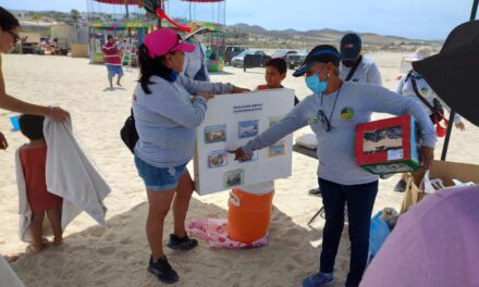 Durante la semana santa, Zofemat Los Cabos realizó diversas actividades en las playas a favor de la educación ambiental.