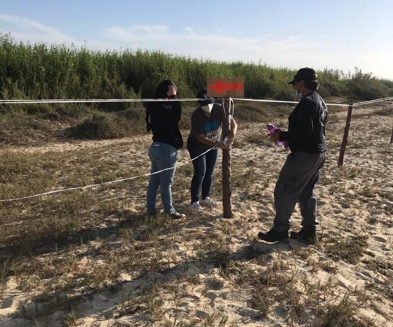 Gobierno de Los Cabos y Starbucks juntos por la conservación del Gallito Marino