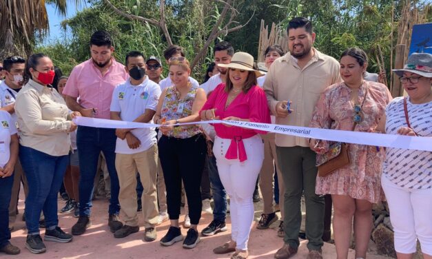 Con participación de productores y artesanos locales Gobierno de Los Cabos inaugura el «Mercado Regional»