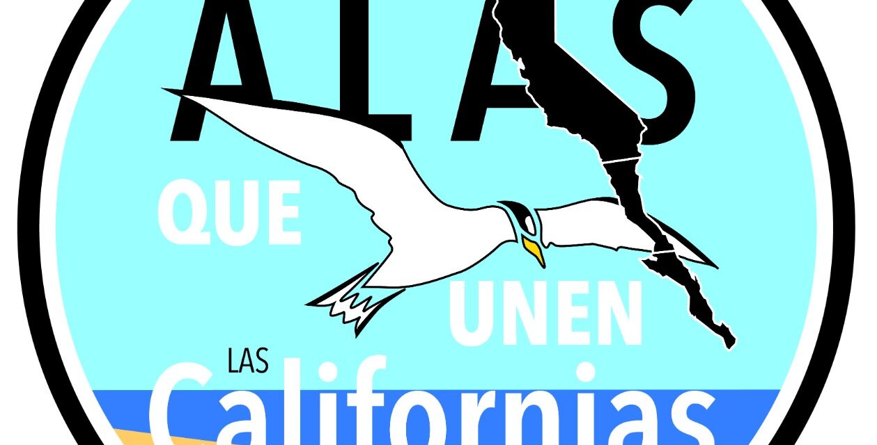 El 25 de julio se llevará a cabo la 6ta. Reunión para el Intercambio de Experiencias para la Conservación del Gallito Marino – Alas que unen a Las Californias.