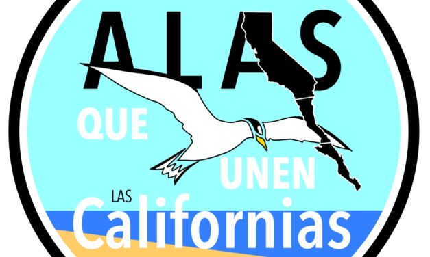 El 25 de julio se llevará a cabo la 6ta. Reunión para el Intercambio de Experiencias para la Conservación del Gallito Marino – Alas que unen a Las Californias.