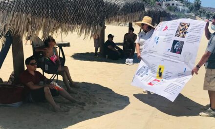 Mantiene Zofemat Los Cabos jornadas de concientización sobre la contaminación por filtros de tabaco en las playas