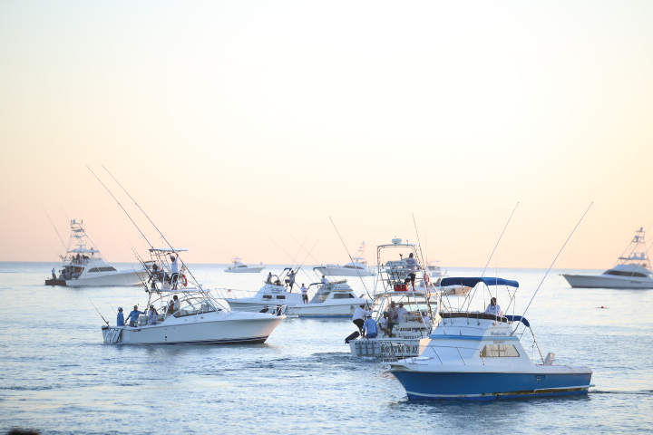 “Los Cabos continúa consolidándose como un destino de clase mundial y único para la pesca deportiva”: directora Municipal de Turismo